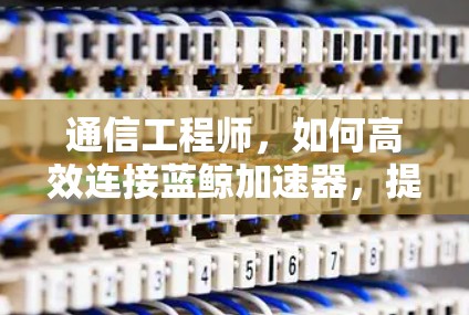 通信工程师，如何高效连接蓝鲸加速器，提升网络性能？