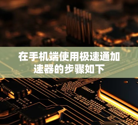 在手机端使用极速通加速器的步骤如下