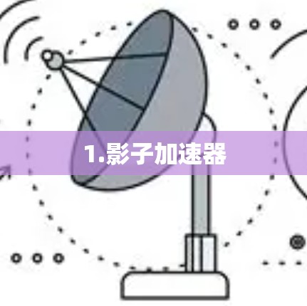 1.影子加速器