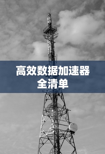 高效数据加速器全清单