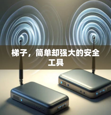 梯子，简单却强大的安全工具