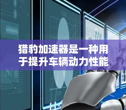 猎豹加速器是一种用于提升车辆动力性能的设备，尤其在高速公路上起着关键作用。以下是对猎豹加速器在高速节点中的详细分析
