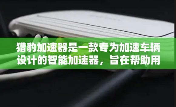 猎豹加速器是一款专为加速车辆设计的智能加速器，旨在帮助用户在有限的加速时间内达到目标速度。以下是对它的评测