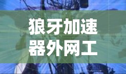 狼牙加速器外网工具是一种专门用于加速网页、视频和音乐等资源的软件，它通过连接到互联网，无需下载任何软件即可实现加速功能。以下是逐步的使用指南和注意事项