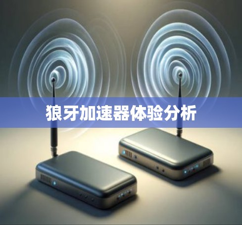 狼牙加速器体验分析