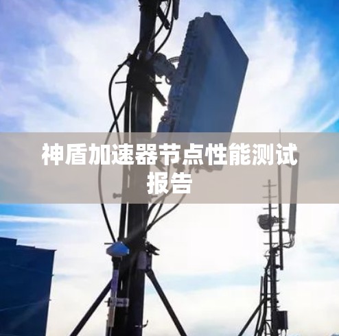神盾加速器节点性能测试报告