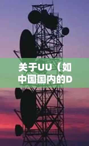 关于UU（如中国国内的DFS服务器解决方案）的海外服务器连接问题，通常涉及如何安全有效地连接到本地服务器或第三方服务器。以下是一些可能的步骤和方法