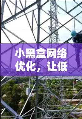 小黑盒网络优化，让低功耗设备高效运行