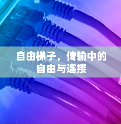 自由梯子，传输中的自由与连接