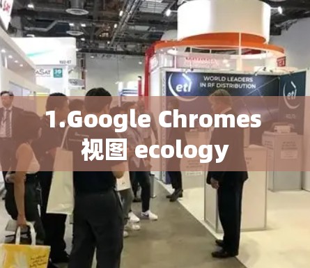 1.Google Chromes 视图 ecology
