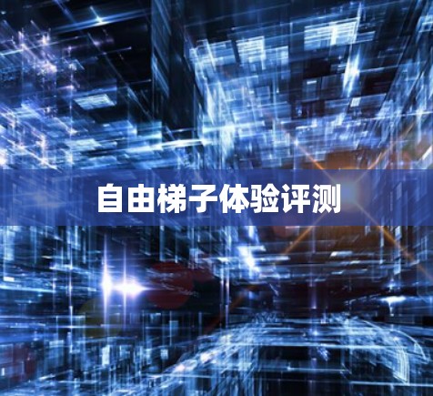 自由梯子体验评测