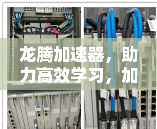 龙腾加速器，助力高效学习，加速你的学术之路