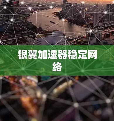 银翼加速器稳定网络