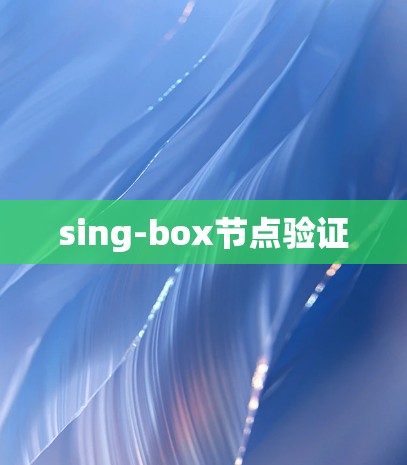 sing-box节点验证
