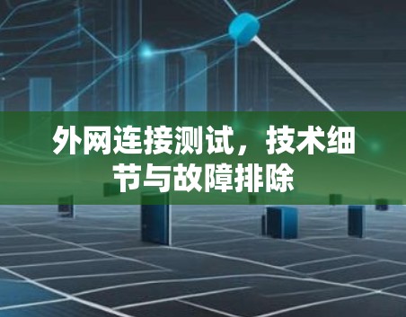 外网连接测试，技术细节与故障排除