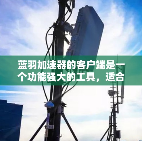 蓝羽加速器的客户端是一个功能强大的工具，适合用户加速网页下载和资源下载。以下是详细的步骤和信息