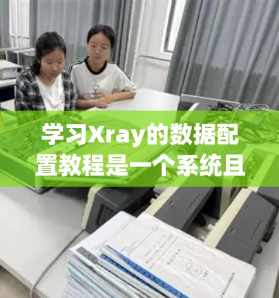 学习Xray的数据配置教程是一个系统且详细的过程，涉及多个步骤和工具的使用。以下是一个详细的指南，帮助您系统地学习和使用Xray