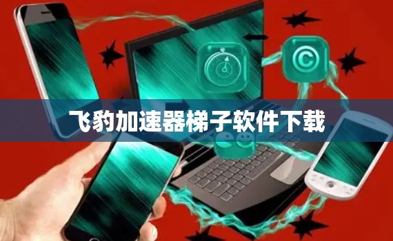 飞豹加速器梯子软件下载