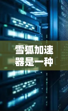 雪狐加速器是一种可能对玩家带来性能提升的工具，能够加速雪狐的技能和技能组合运行。以下是关于雪狐加速器的详细分析