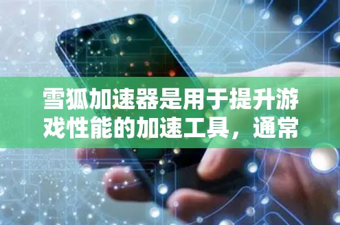 雪狐加速器是用于提升游戏性能的加速工具，通常用于优化游戏性能和提升游戏体验。雪狐加速器节点测速是指通过测试节点（即加速器的执行器）的速度，评估加速器的性能和稳定性