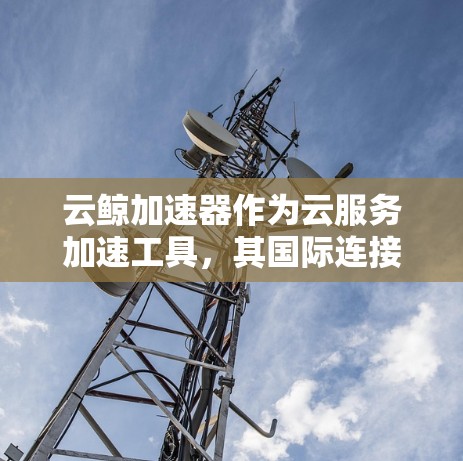 云鲸加速器作为云服务加速工具，其国际连接功能主要体现在以下几个方面