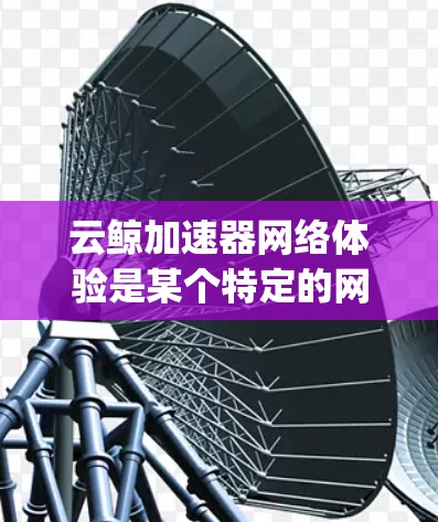 云鲸加速器网络体验是某个特定的网络加速工具或服务，其名称可能指代云 alphabet 的加速器功能。以下是对该网络加速工具的详细解析