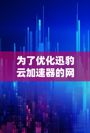 为了优化迅豹云加速器的网络设置，按照以下步骤进行
