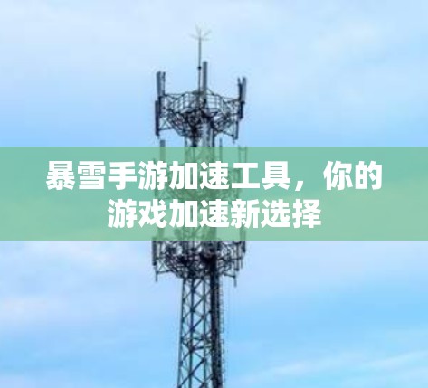 暴雪手游加速工具，你的游戏加速新选择