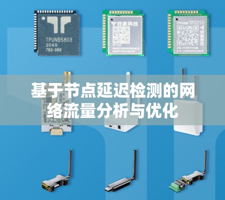 基于节点延迟检测的网络流量分析与优化