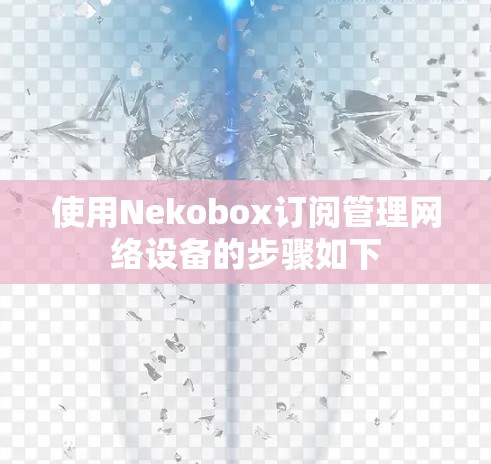 使用Nekobox订阅管理网络设备的步骤如下