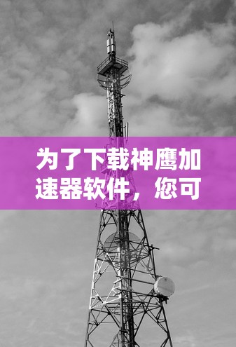 为了下载神鹰加速器软件，您可以按照以下步骤操作