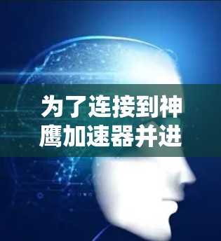 为了连接到神鹰加速器并进行网络加速，您可以按照以下步骤操作