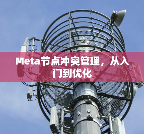 Meta节点冲突管理，从入门到优化