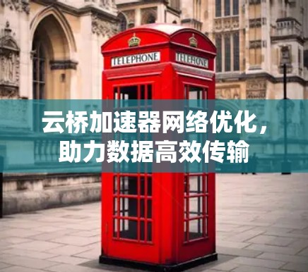 云桥加速器网络优化，助力数据高效传输
