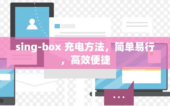 sing-box 充电方法，简单易行，高效便捷