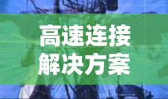 高速连接解决方案对于视频会议环境至关重要，因为它确保在数据流和实时性方面表现优异。以下是对高速连接解决方案的详细分析和推荐