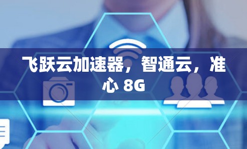 飞跃云加速器，智通云，准心 8G