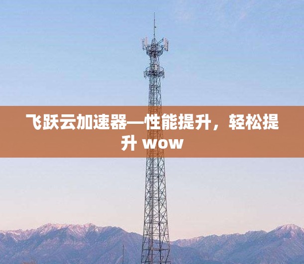 飞跃云加速器—性能提升，轻松提升 wow