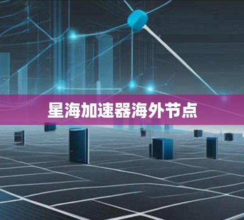 星海加速器海外节点