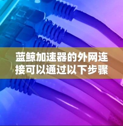 蓝鲸加速器的外网连接可以通过以下步骤实现