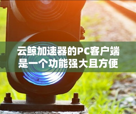 云鲸加速器的PC客户端是一个功能强大且方便的加速工具，主要用来快速下载文件。以下是对该工具的详细总结