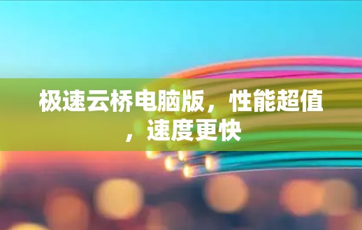 极速云桥电脑版，性能超值，速度更快