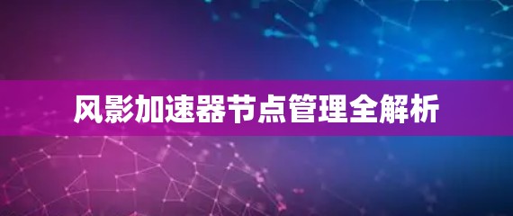 风影加速器节点管理全解析