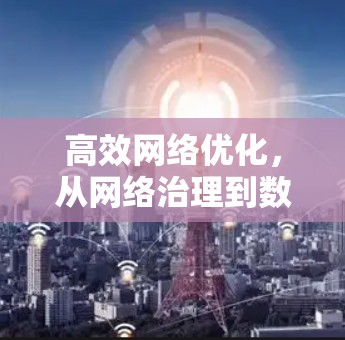 高效网络优化，从网络治理到数据传输的未来展望