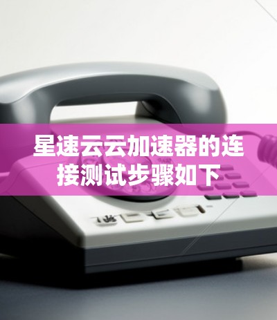 星速云云加速器的连接测试步骤如下