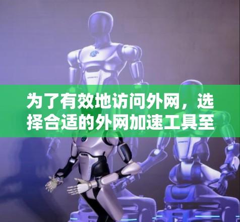 为了有效地访问外网，选择合适的外网加速工具至关重要。以下是一些推荐的工具和策略，帮助你优化你的访问体验