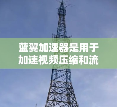 蓝翼加速器是用于加速视频压缩和流媒体的软件，全球节点分为不同的加速模块，如H.264、H.265和V.41加速器，每个节点独立处理特定协议。以下是关于蓝翼加速器全球节点的详细信息
