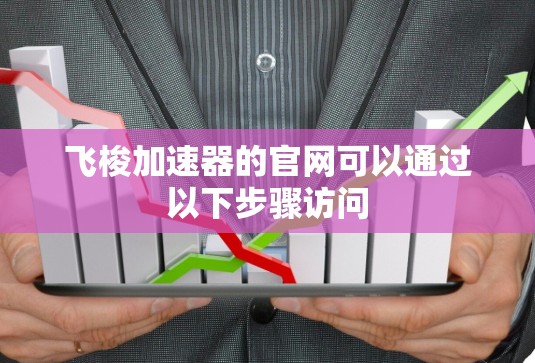 飞梭加速器的官网可以通过以下步骤访问
