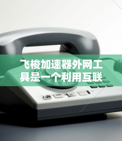 飞梭加速器外网工具是一个利用互联网或其他方式管理飞梭加速器的技术，结合了重力场加速和互联网通信。以下是对该主题的详细介绍