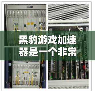 黑豹游戏加速器是一个非常实用的工具，可以帮助你在手机上更快地玩各种游戏。它通过收集游戏的加速设置，将它们整合到一个文件中，然后在手机上自动运行。以下是关于如何使用黑豹游戏加速器的教程